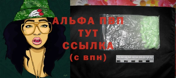 дмт Бородино