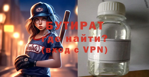 дмт Бородино