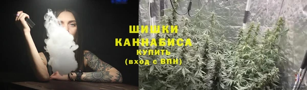 дмт Бородино