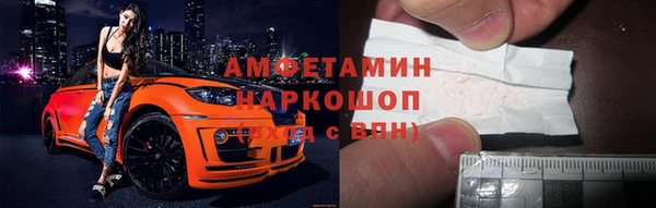 дмт Бородино