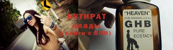 дмт Бородино