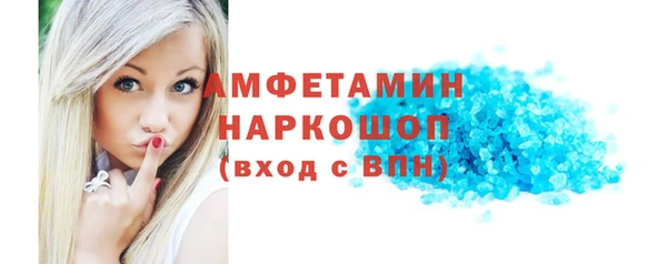 spice Богородицк
