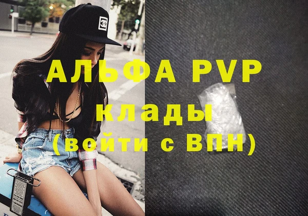 дмт Бородино