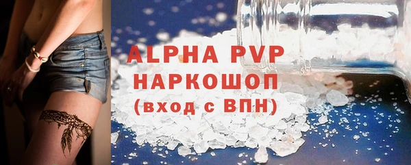 дмт Бородино