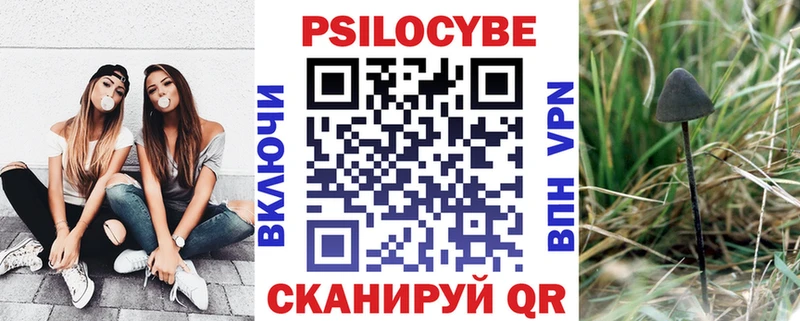 кракен tor Улан-Удэ Псилоцибиновые грибы мицелий закладки